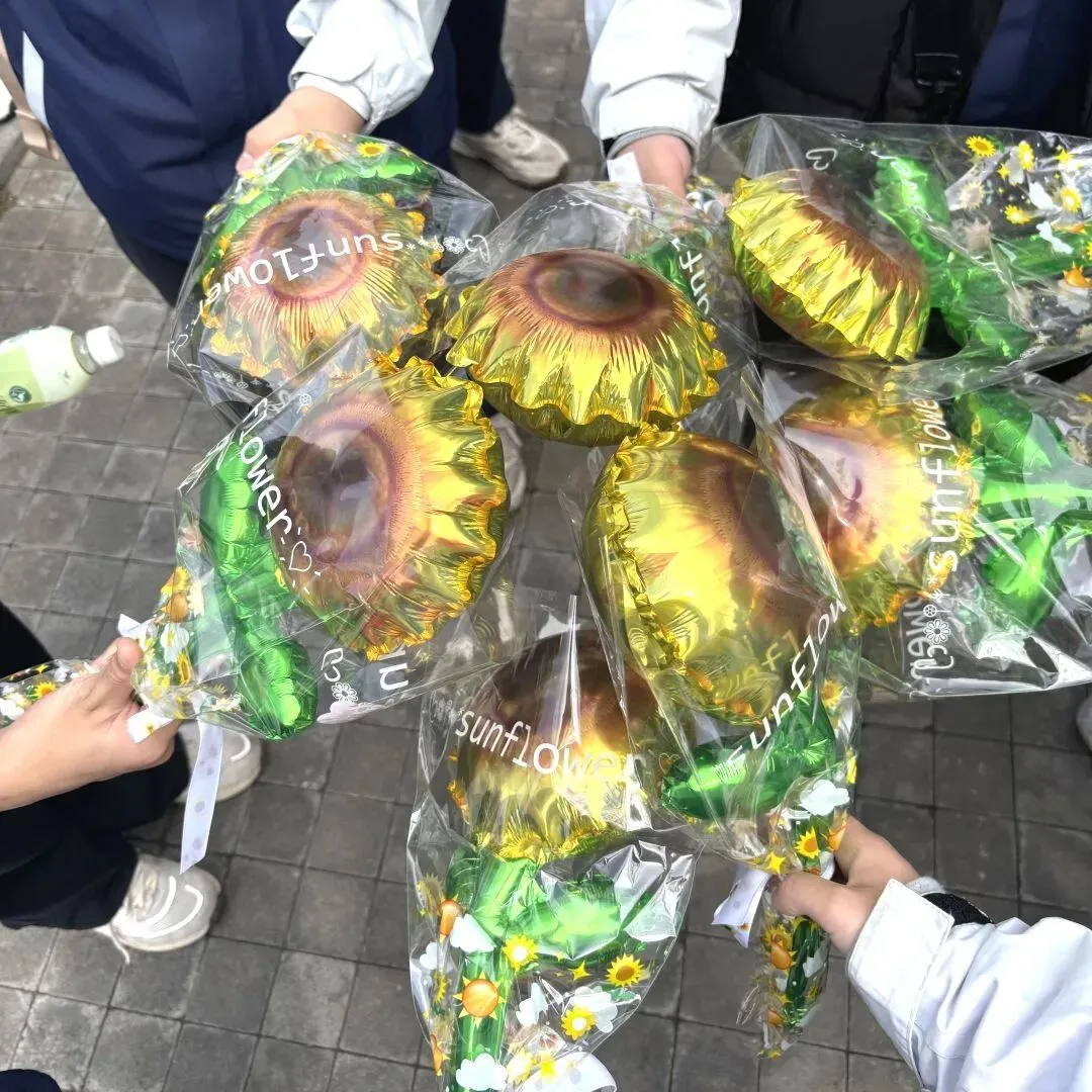 徒步磨砺凌云志,冲刺中考向未来——宏德学校初三中考“冲刺”暨徒步励志春游活动圆满举行 第15张