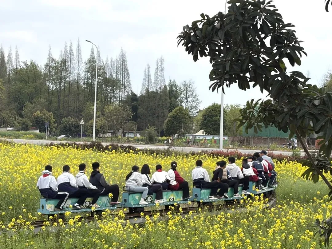 徒步磨砺凌云志,冲刺中考向未来——宏德学校初三中考“冲刺”暨徒步励志春游活动圆满举行 第16张