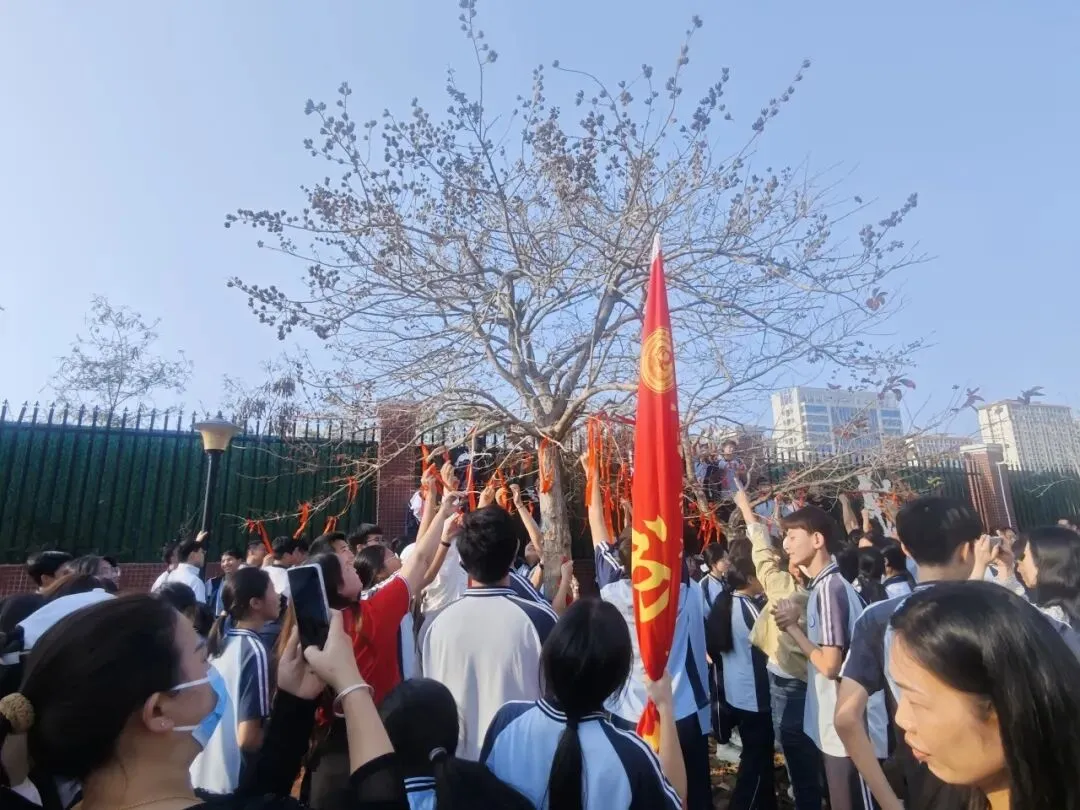 百日砺剑 决胜中考!——北海市第十二中学2026 届中考百日誓师大会燃情启幕 第47张