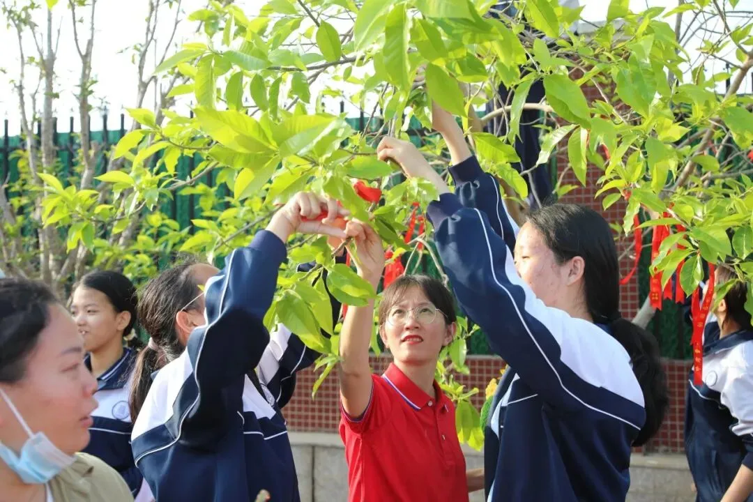百日砺剑 决胜中考!——北海市第十二中学2026 届中考百日誓师大会燃情启幕 第49张