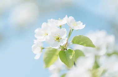 水师中学校九年级组召开“决胜中考 携手未来”百日冲刺主题班会 第3张