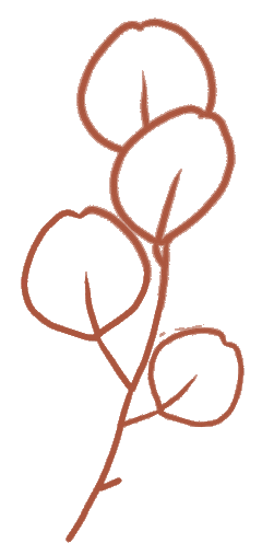 跨校教研,助力中考|通惠初中与义桥实验学校九年级科学复习专场 第8张