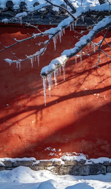 2026中考押题作文:《勇气书写青春》《自信成就的美丽》《生活的光芒》《青春的夏冬变奏》《领略生命风华》值得反复背诵! 第1张