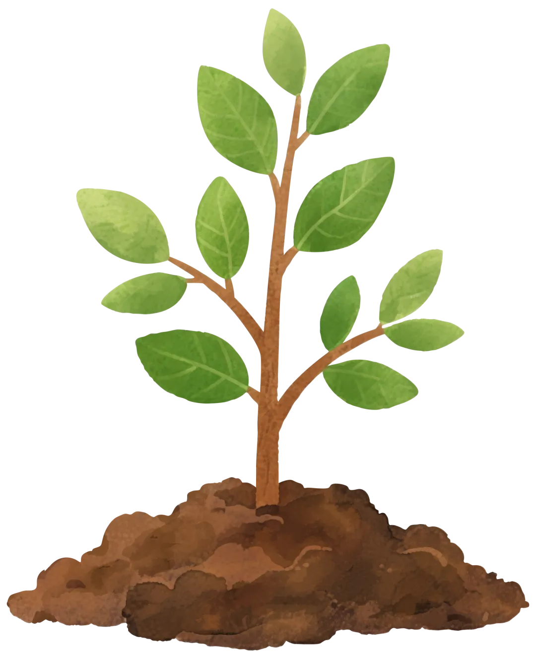 监利市2026届中考复习备考校际联合教研活动在程集镇初级中学举行 第24张