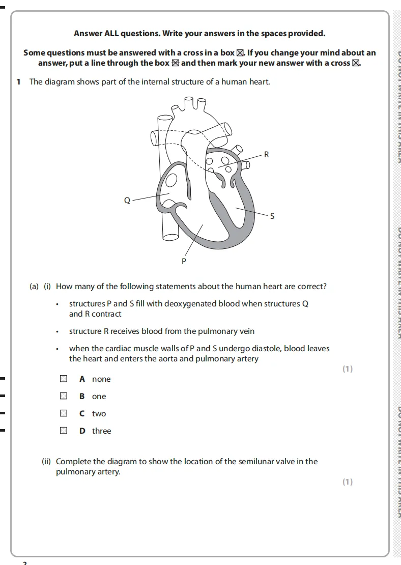 【附真题】5月A-Level 生物冲刺:考点 + 难点 提分攻略! 第11张