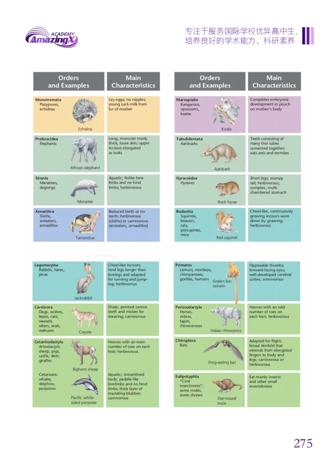 【附真题】5月A-Level 生物冲刺:考点 + 难点 提分攻略! 第16张