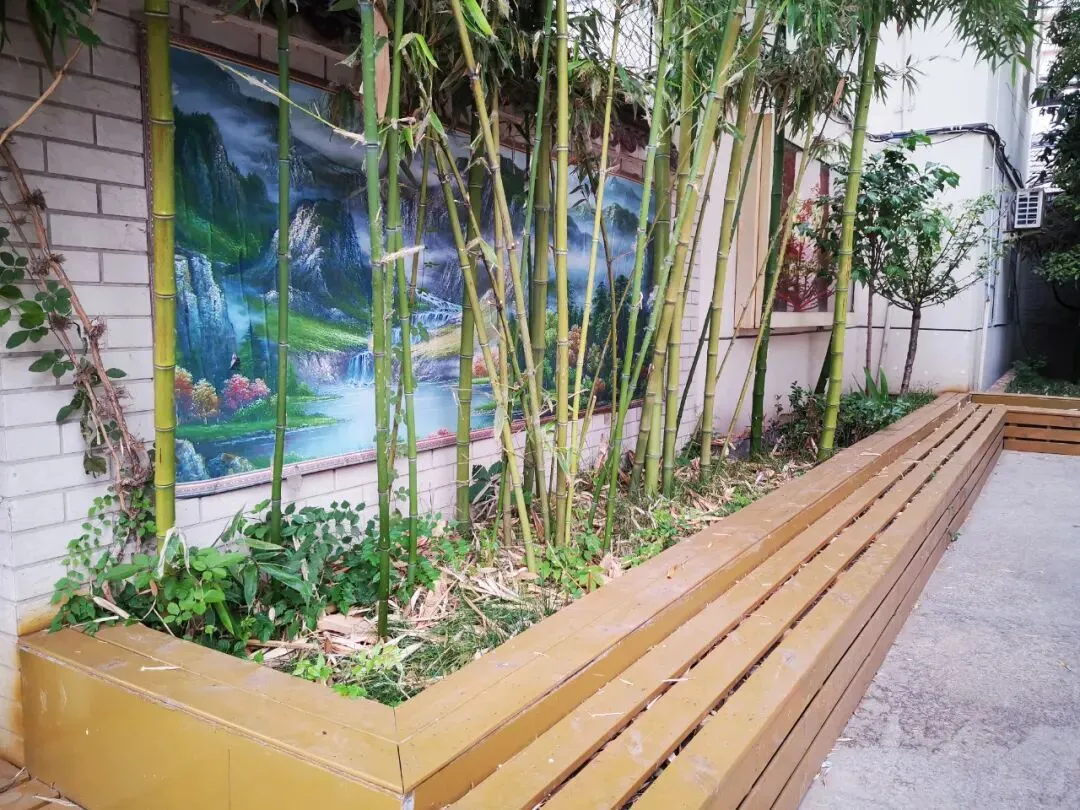 88天后中考丨暗暗努力,悄悄拔节 第1张