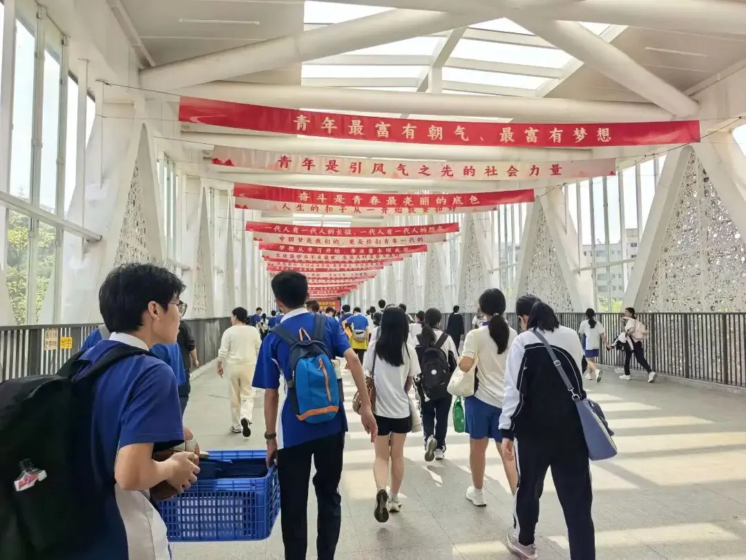 致理学校体育模拟考记 第3张