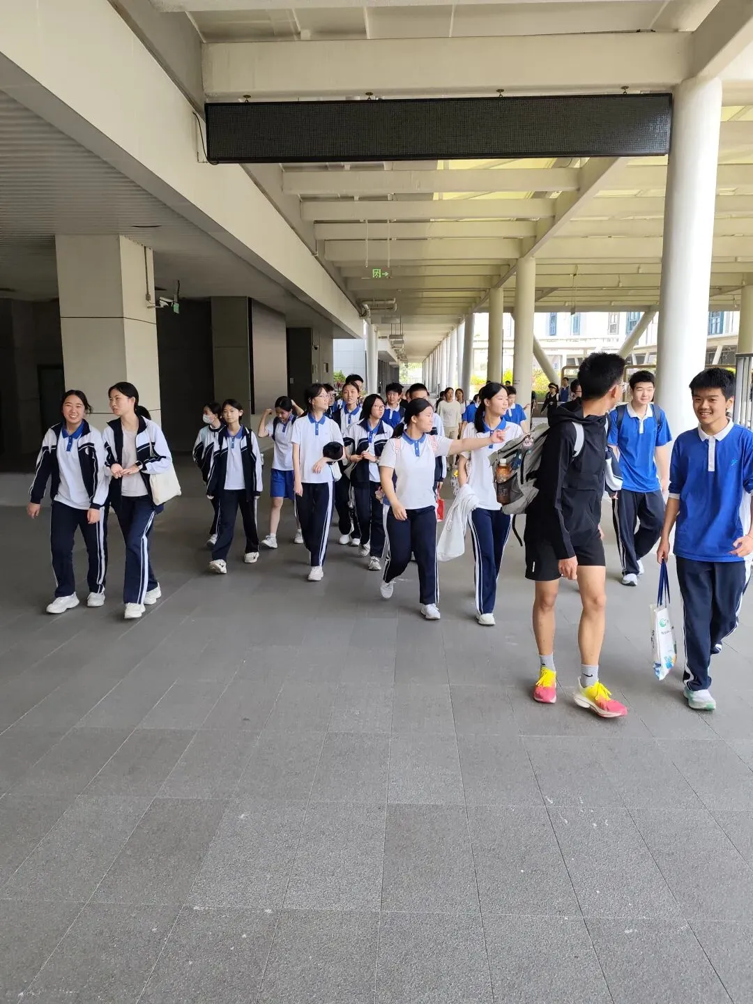 致理学校体育模拟考记 第4张