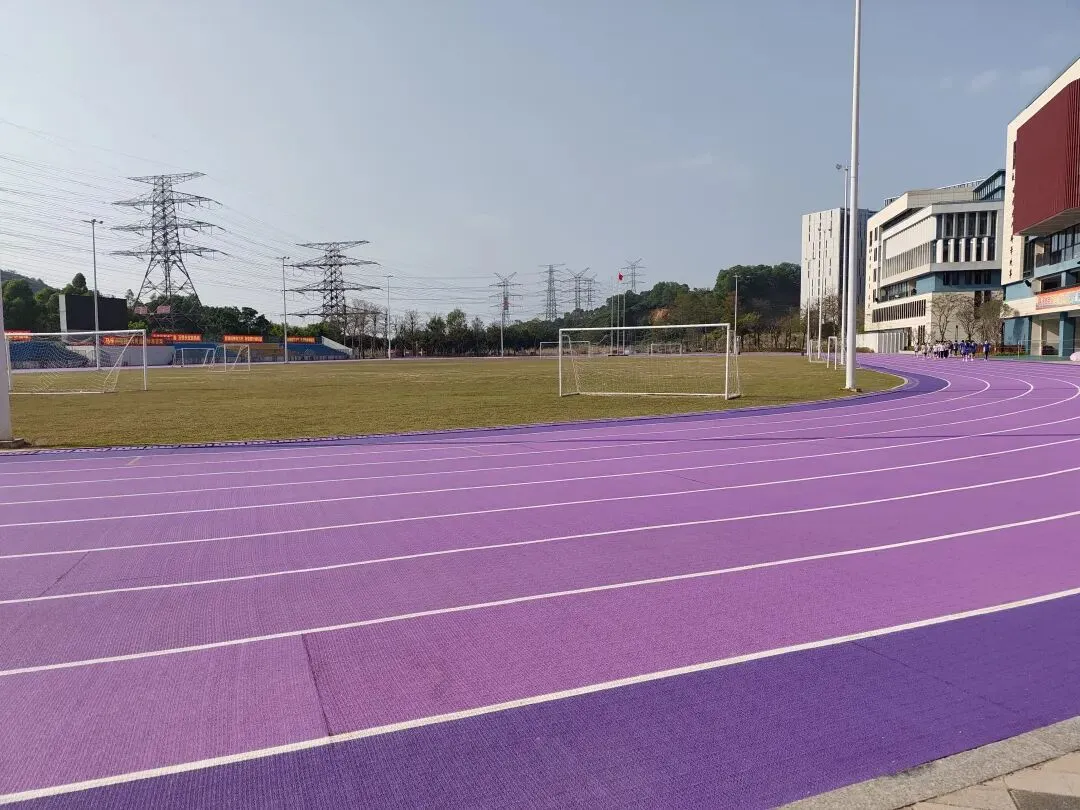 致理学校体育模拟考记 第10张