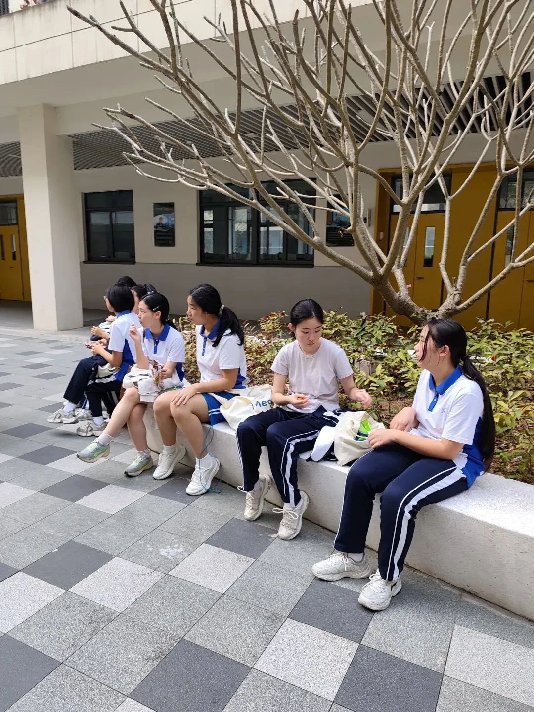 致理学校体育模拟考记 第21张