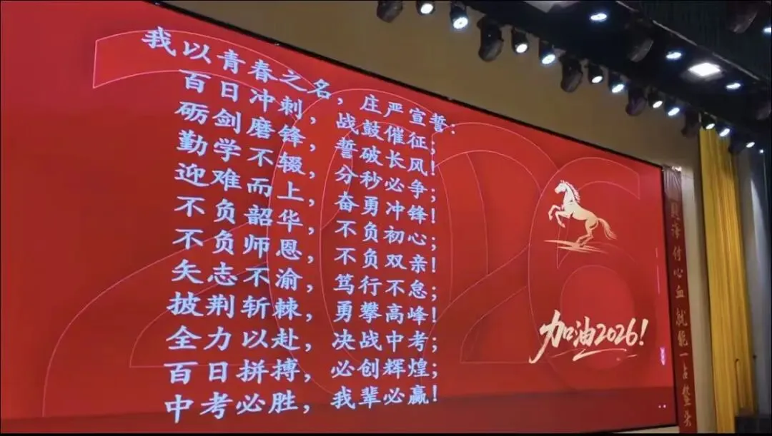 乘马年之风,赴中考之约——宁河区东棘坨镇中学百日誓师大会圆满举行 第18张