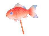 百日砺剑,逐梦中考!我校2026届中考百日誓师大会燃情启幕 第72张