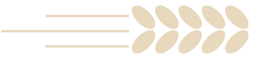 旗开得胜 | 三亚双品学校2026届中考百日誓师大会 第10张