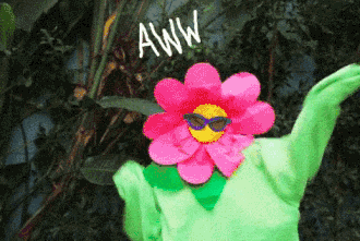 速领!2015-2026年雅思写作真题合集重磅来袭! 第14张