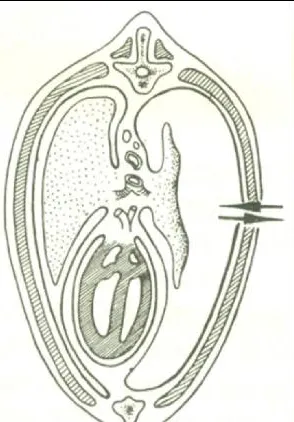 执业兽医历年真题上岸必刷【临床科目14】 第1张