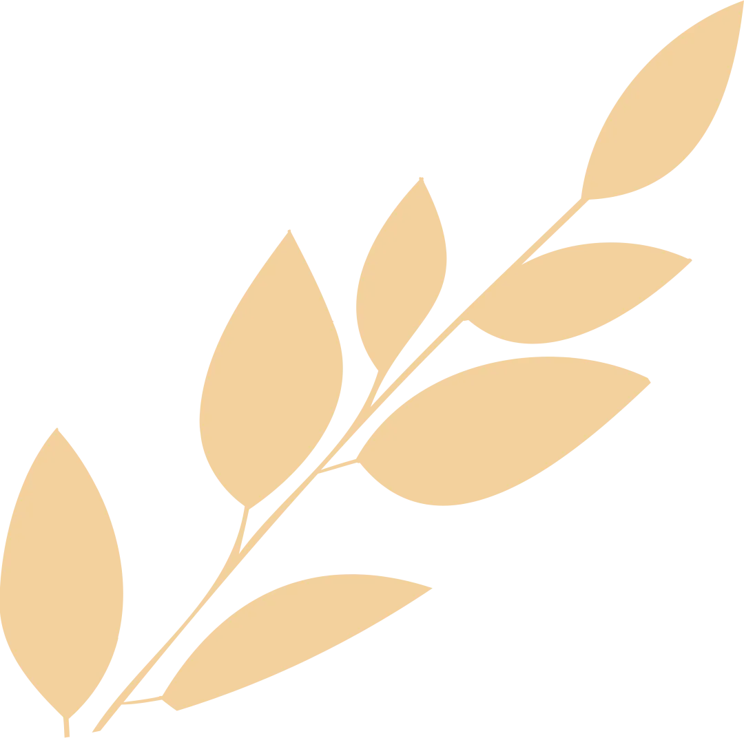 携手迎中考,同心共圆梦——记福清第二中学东部校区初三家长会 第3张