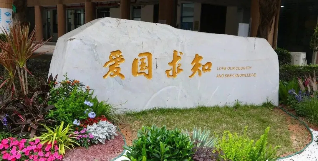 从历届真题看深外更看重什么能力 第1张