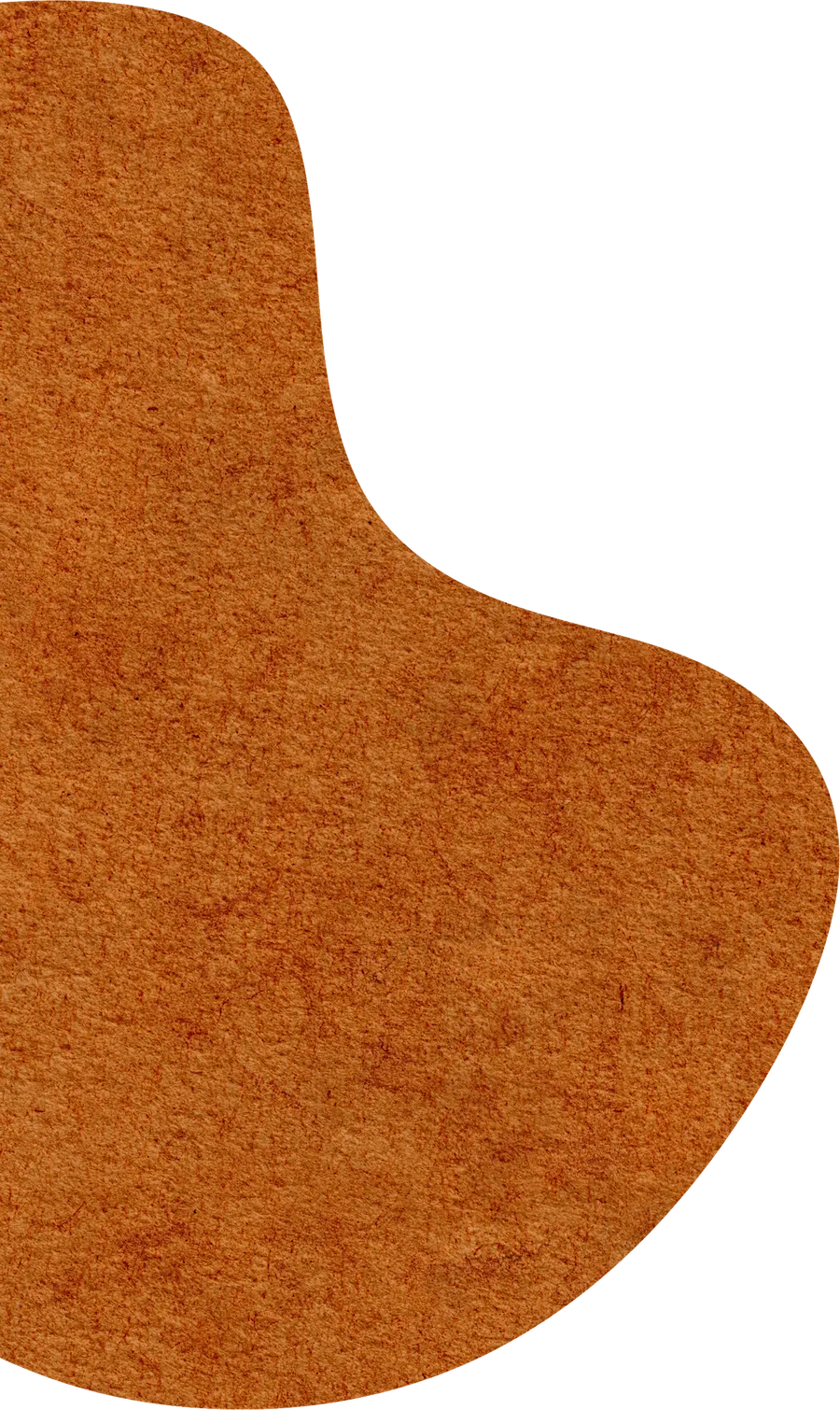 教研简讯 | 2026年普通高考第一次模拟考试学科质量分析暨高考备考培训会 第14张