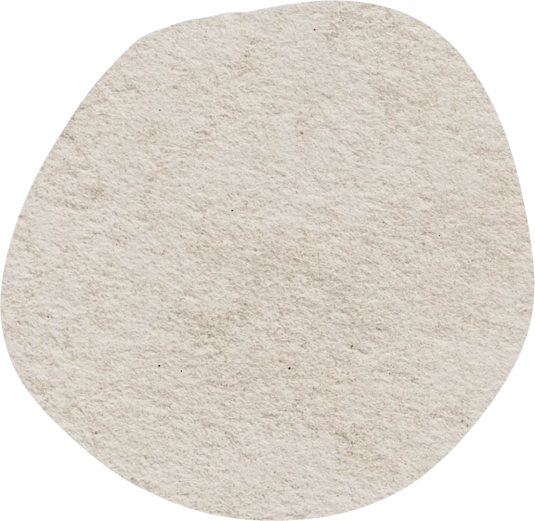 教研简讯 | 2026年普通高考第一次模拟考试学科质量分析暨高考备考培训会 第17张