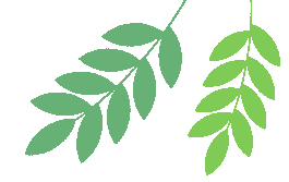 关注!内江市2026年中考报名工作安排 第3张