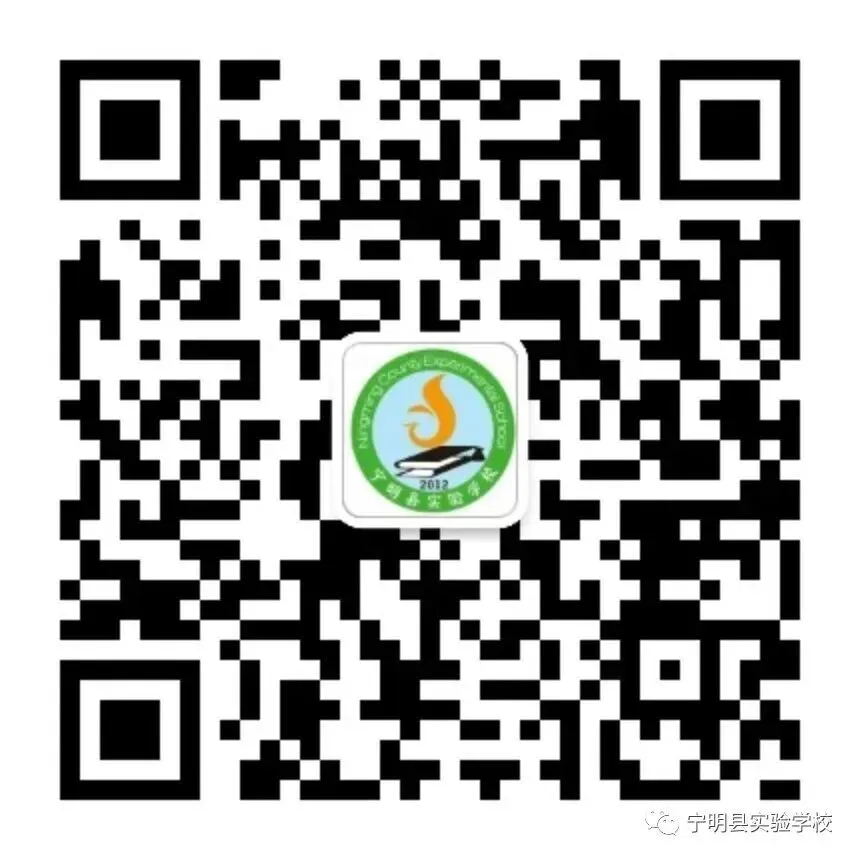 飞驰人生当此时 金马踏平中考路——宁明县实验学校2026年中考百日誓师大会圆满举行 第64张