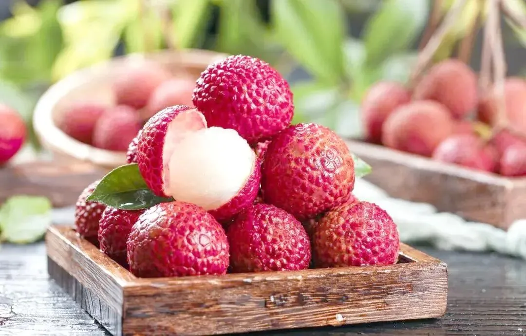 【中考阅读指导】小满的“满”指什么?(孟扬)四川凉山州2025 第3张