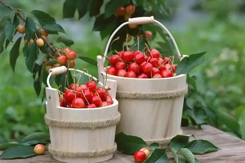 【中考阅读指导】小满的“满”指什么?(孟扬)四川凉山州2025 第4张