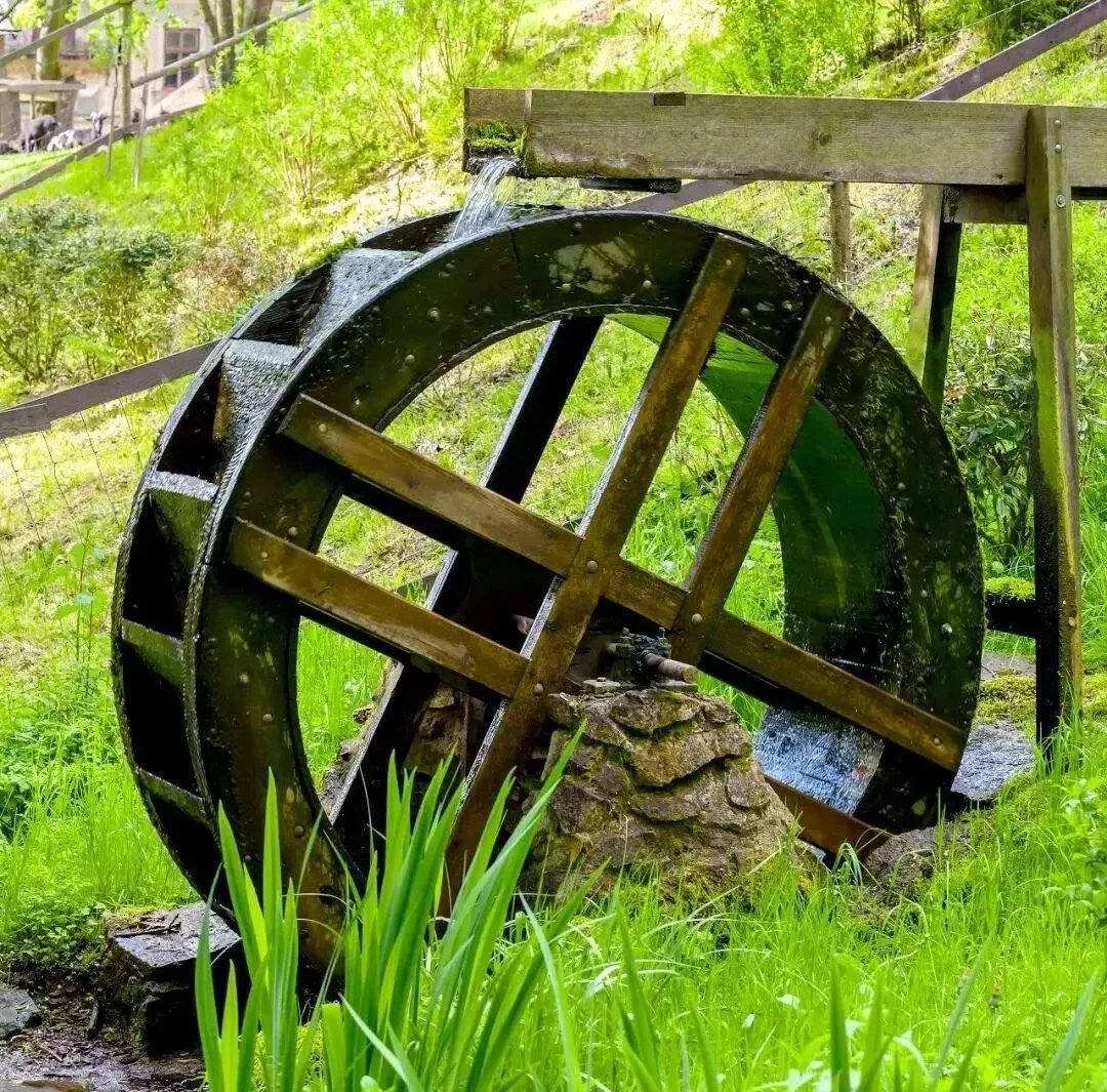 【中考阅读指导】小满的“满”指什么?(孟扬)四川凉山州2025 第5张