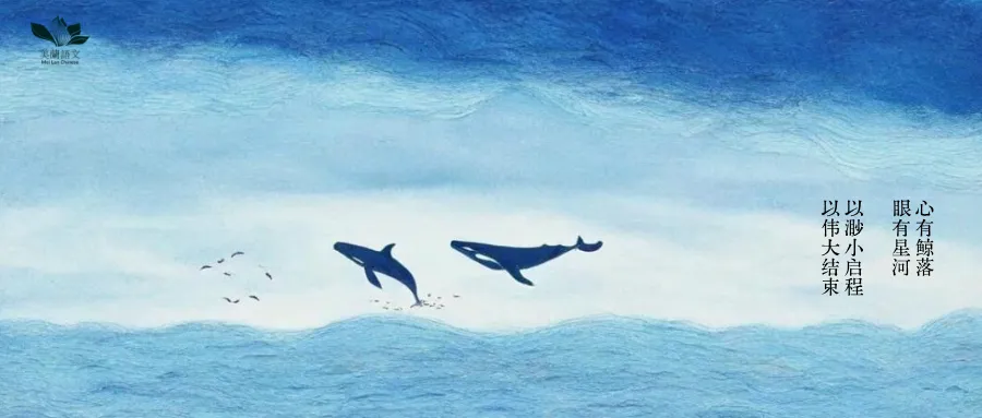 免费领丨近五年贵州中考语文真题卷(2021-2025) 第2张