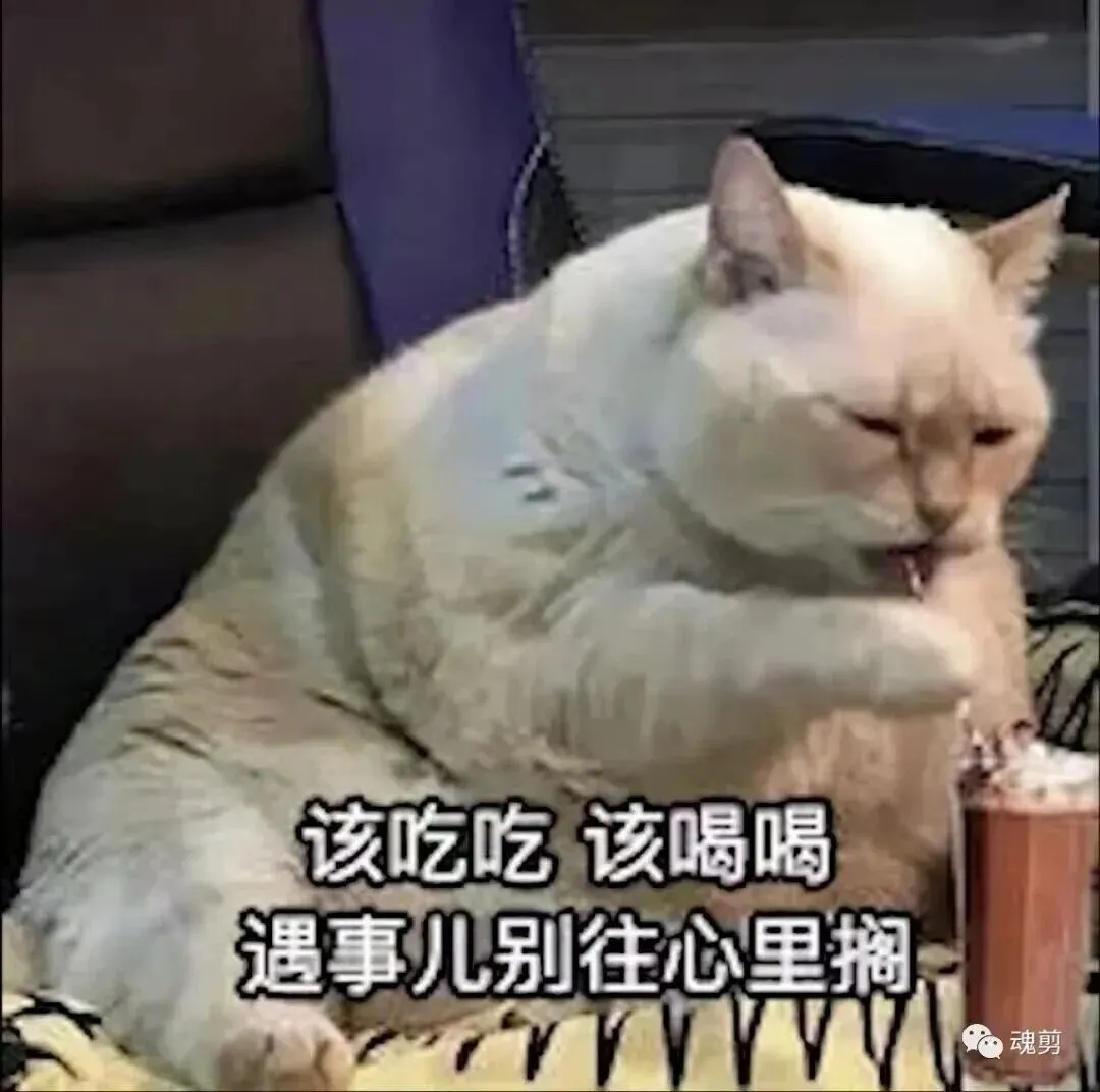 中考还没考,我已经在为三年后的高考掐人中了 第4张