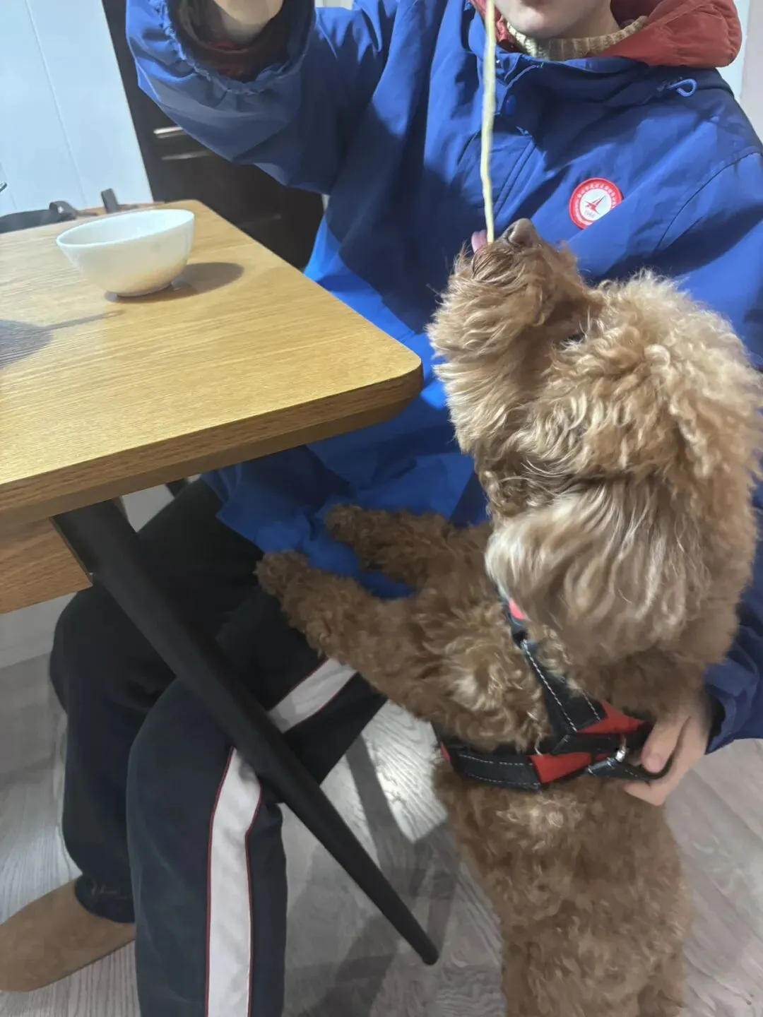 女儿中考倒计时92天—无解的事,交给时间 第1张