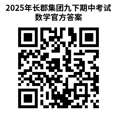 2025年长郡集团九下期中考试数学试卷(原卷)与官方答案 第10张