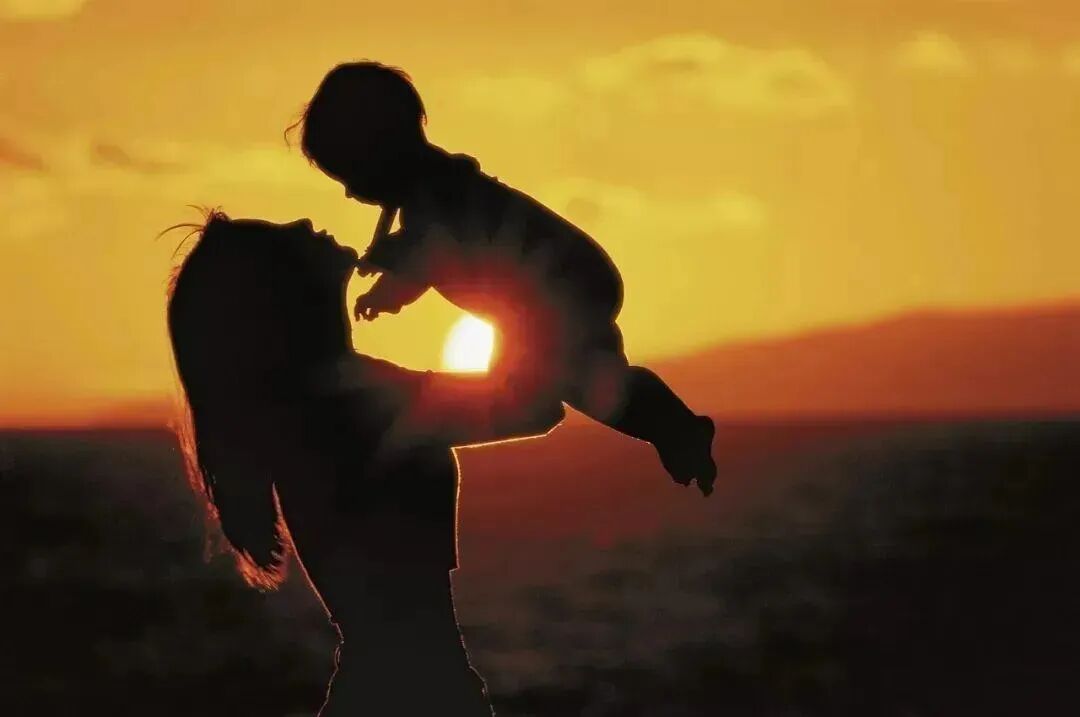 今日分享 | 多地宣布2027年缩减中考计分科目 第1张