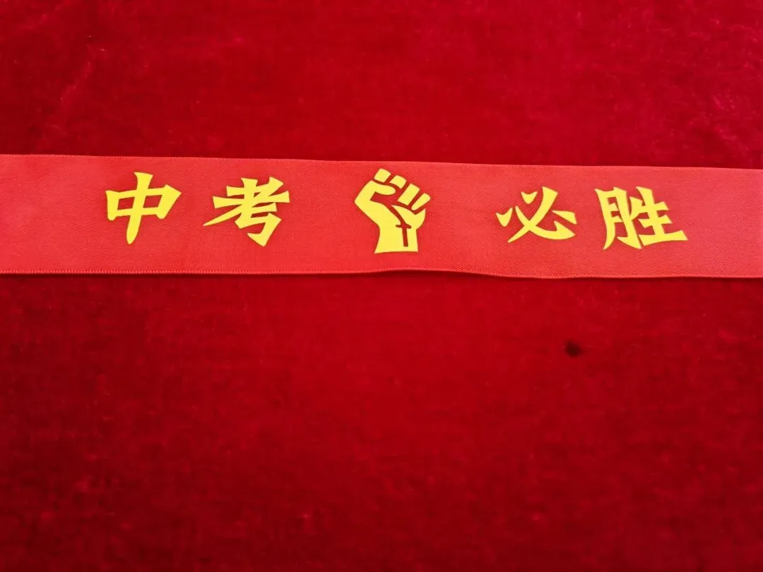 【梦想起航 启智明天】 百日砺剑 决胜中考 ——安龙县第六中学举行2026届百日冲刺誓师大会 第31张