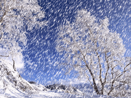 乌拉街符合条件的抓紧报;中考这事变了;如何申请社会救助;站不住的雪,下它干啥?;又要上涨? 第9张