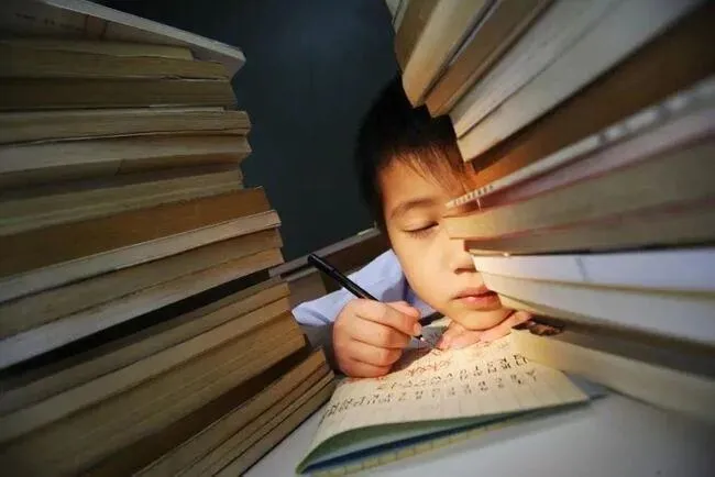 多地取消生物地理中考计分,浙江却逆势加码:减负,还是换一种方式卷?|头条 第3张