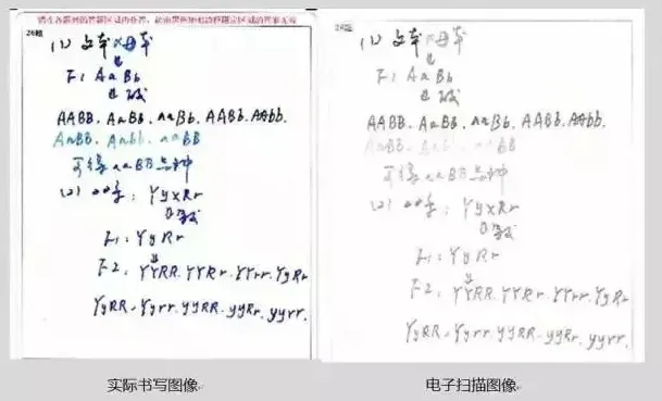 特级教师揭秘:中高考试卷被扫描后是什么样子的?学生:丢了多少冤枉分! 第4张