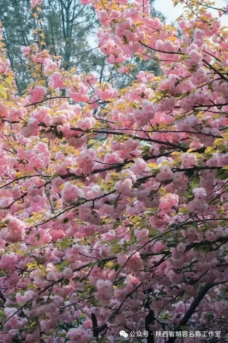 【第95期】王子璇专栏:试卷讲评课作文专题教学设计 第2张