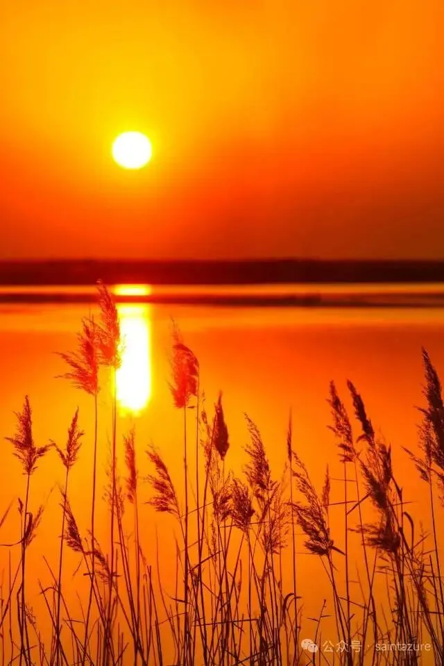 2026年3月14日山东省公务员面试真题:杂物堆放等现象带来严重的消防安全隐患,就如何有效解决上述问题提出具体可行的对策建议. 第2张