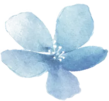 中考阅读理解题型解题技巧 第5张