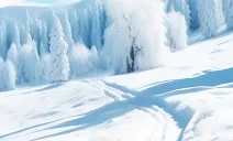 中考阅读理解题型解题技巧 第15张