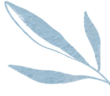 中考阅读理解题型解题技巧 第50张