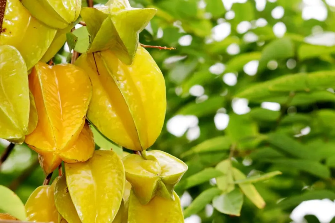 2026年肇庆中考报名时间定了!报名入口丨早安,肇庆 第6张