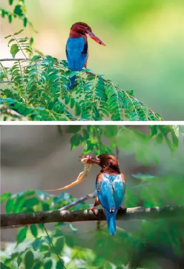 2026年肇庆中考报名时间定了!报名入口丨早安,肇庆 第9张