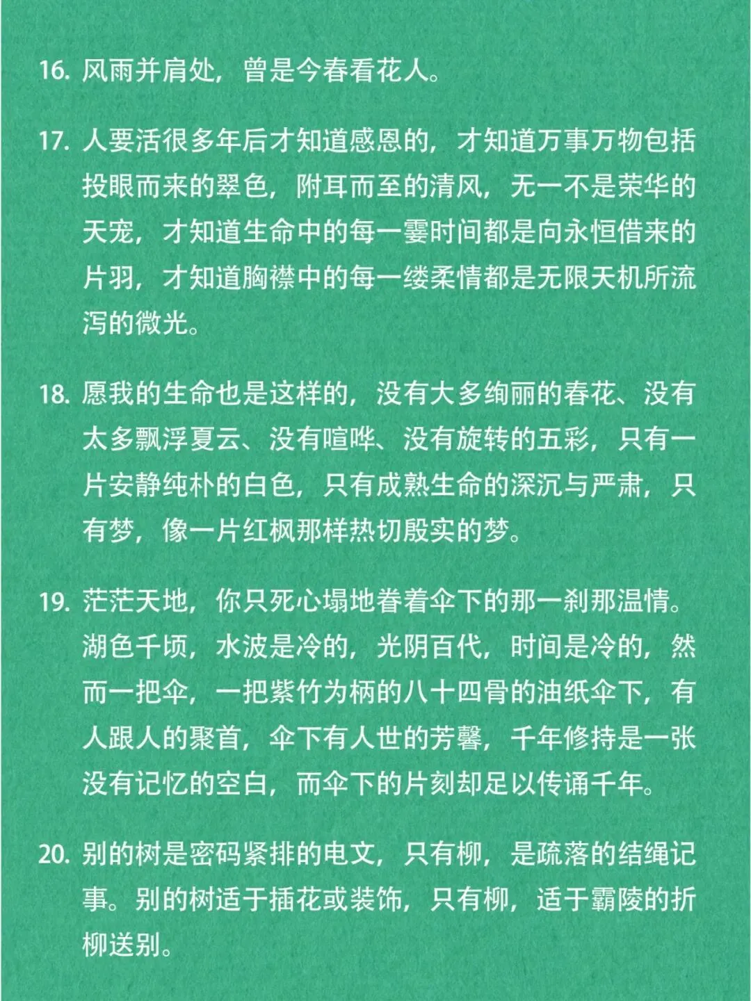 还记得小学语文试卷上那个散文作家吗? 第5张