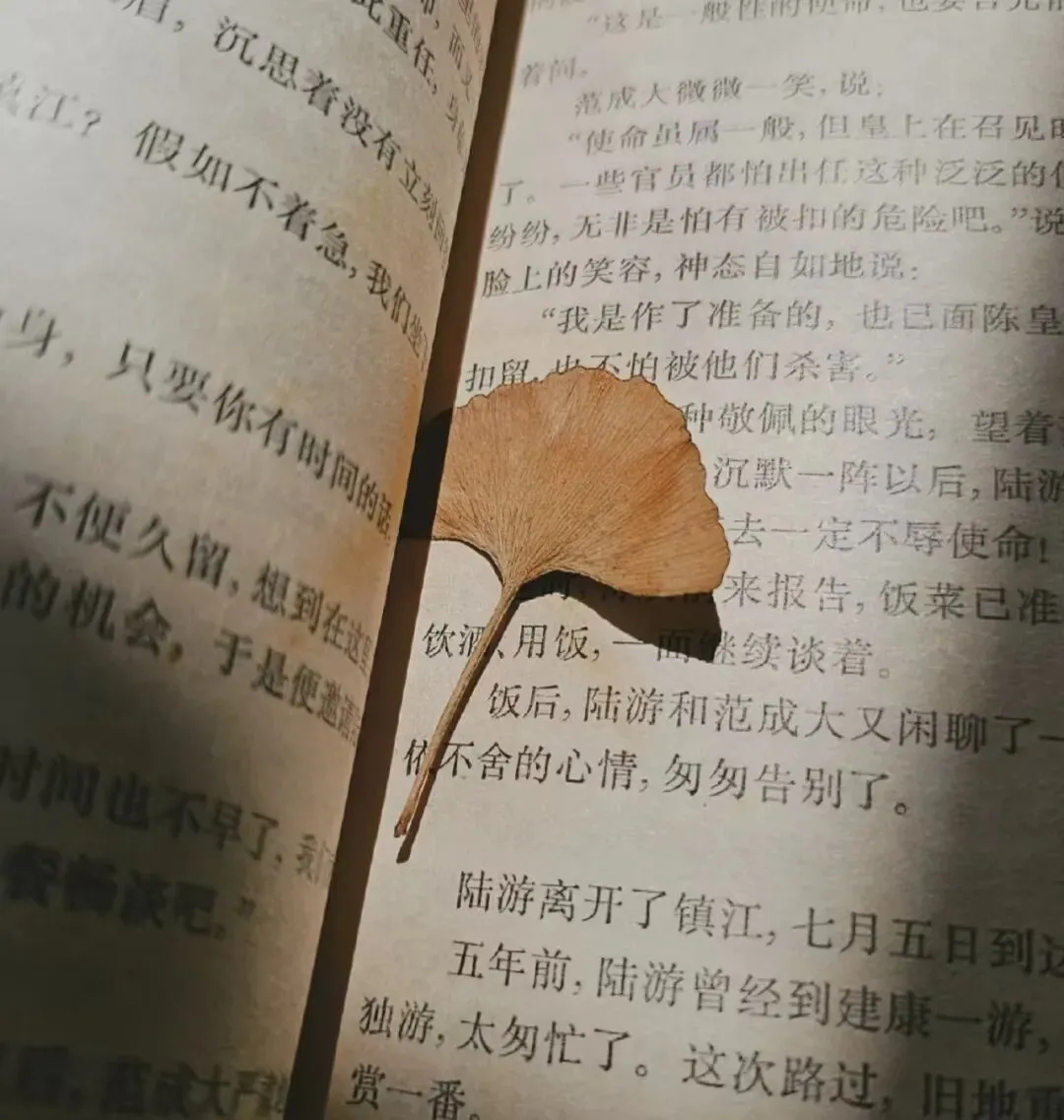 中考作文预测——亲情类3篇 第3张