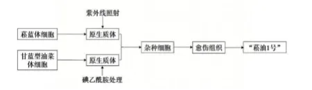 哈三中2026年高三学年第一次模拟考试生物学试题和答案(附word下载) ⊙ 第14张
