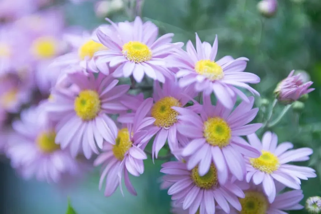 中考改革,谁真轻松了? 第4张