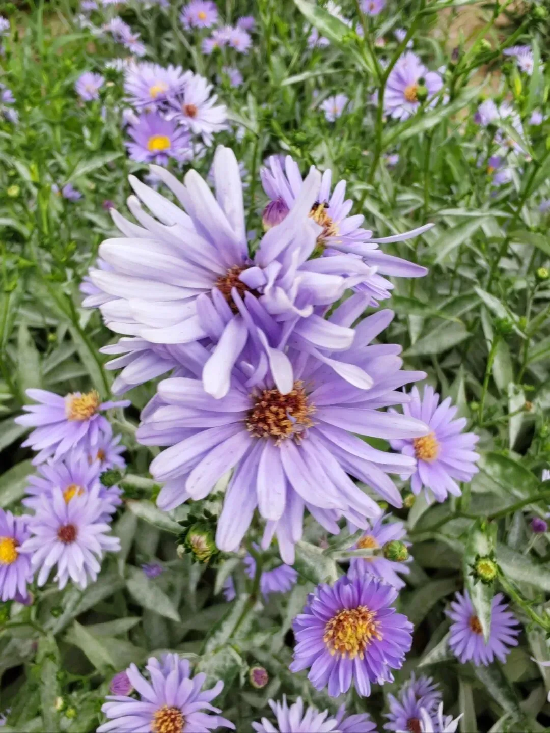 中考改革,谁真轻松了? 第8张